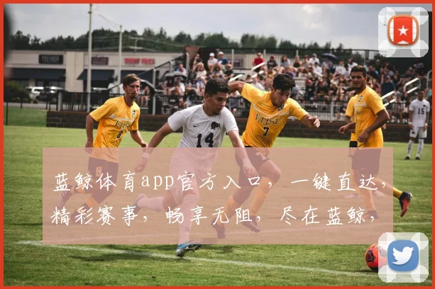 蓝鲸体育app官方入口，一键直达，精彩赛事，畅享无阻，尽在蓝鲸，快来体验